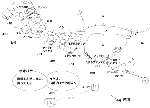 ポイントマップ