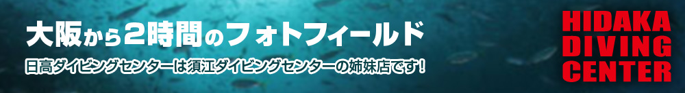 日高ダイビングセンター